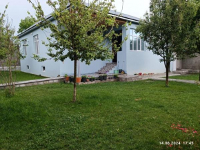 Hafiz Home Gabala